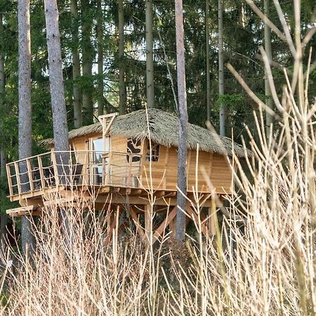 Hotel Treehouse U Rybnika Osecna Exterior foto