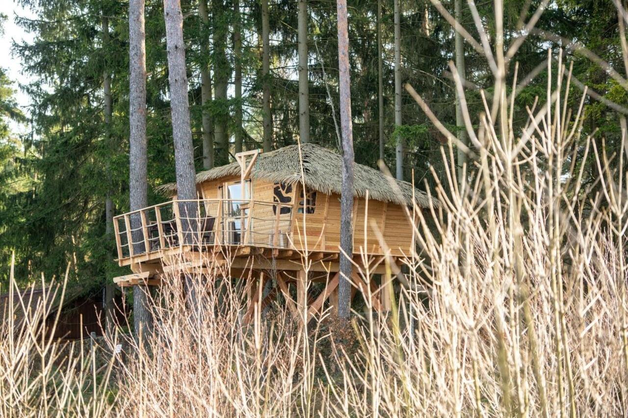 Hotel Treehouse U Rybnika Osecna Exterior foto